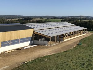 Stabulation vaches laitières Berthelot Charpentes