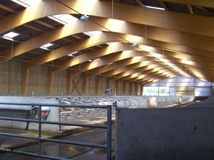 ROSCADAY LAMELLE COLLE4