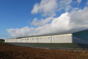 BERTHELOT CHARPENTES PORCHERIE MATERNITE