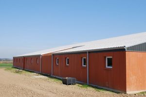 BERTHELOT CHARPENTE PORCHERIE MATERNITE