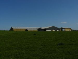 BERTHELOT CHARPENTES STABULATION