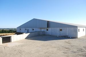 gestante-verraterie 2